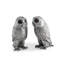 Harvest Salt And Pepper Shaker Set