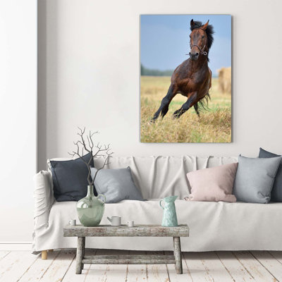 Horse On The Field - Wrapped Canvas Print