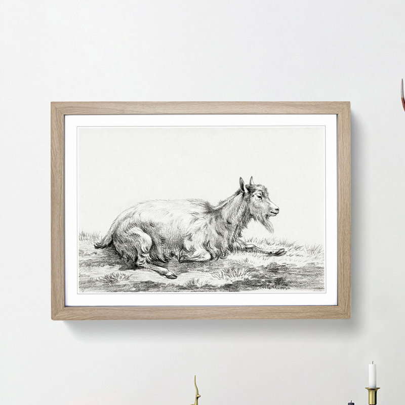 Resting Goat by Jean Bernard - Picture Frame Drawing Print, Oak Framed, 48cm H x 65cm W x 2cm D