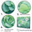 Green Succulents Bloom - Succulent Canvas Wall Art Set-24039998-24039992