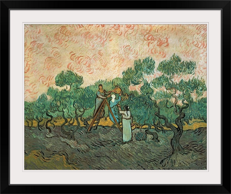 «The Olive Pickers, Saint-Remy, 1889» par Vincent Van Gogh - reproduction, H 24 po x l 28 po x P 1 po, Cadre noir