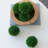 S/6 D4" Faux Boxwood Ball Bowl Filler,Green