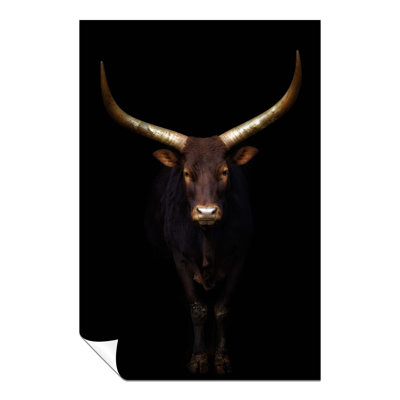 Ankole Watusi Cattle With Golden Horns - No Frame Print