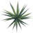 2Pcs Artificial Spiked Agave Plants