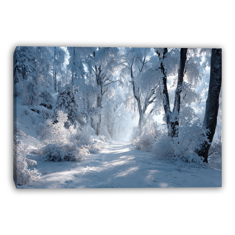 Art mural sur toile Frosted Forest Pathway, H 24 po x l 36 po