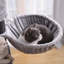 141cm H Cat Tree-2099514352