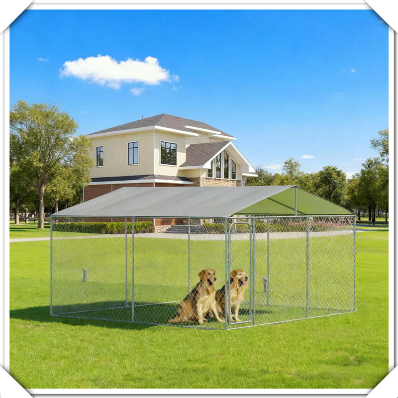 Clôture en acier pour chien avec auvent pour chenil
