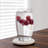 16oz. Drinking Glass Set