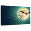 Les chauves-souris de la nuit-1269364834