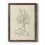 Toile encadrée de qualité supérieure Wooded Path II - prête à être accrochée-2095705460-2095705462