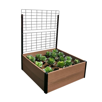 Raised Garden Bed with Trellis