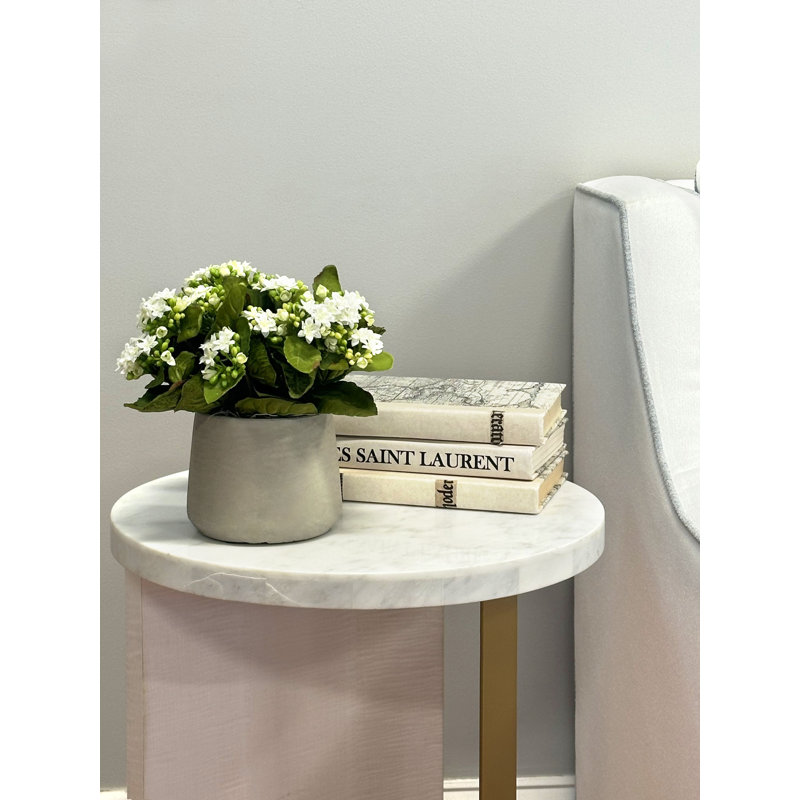 Kalanchoe Arrangement in Fiberstone Pot, White