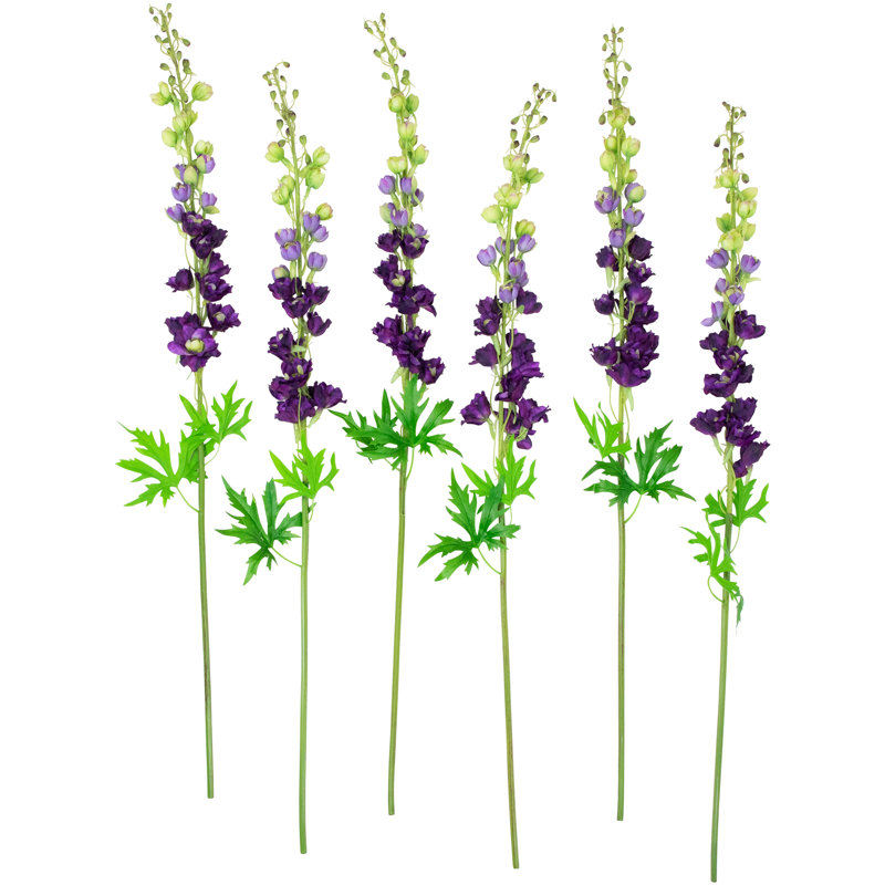 Tiges Delphinium, Mauve