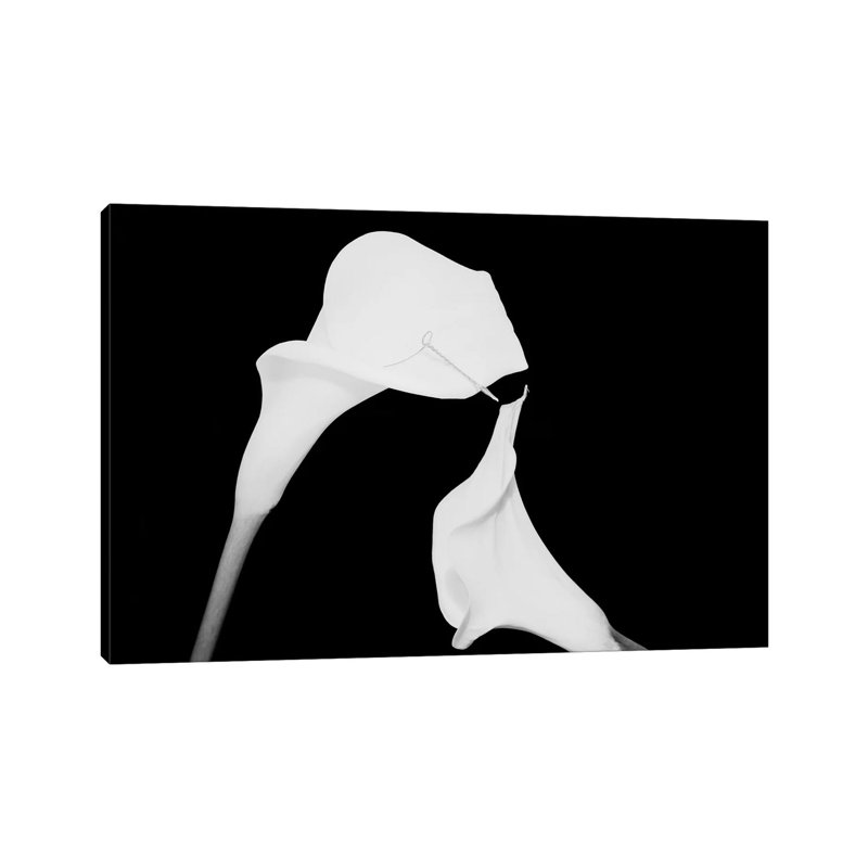 Still Life Shot Of Pierced Calla Lily Flower II by Panoramic Images - Wrapped Canvas Print