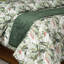 Couverture Chambliss-90435047-90435066