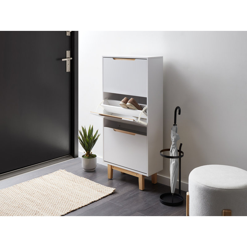 12 Pair Shoe Storage Cabinet