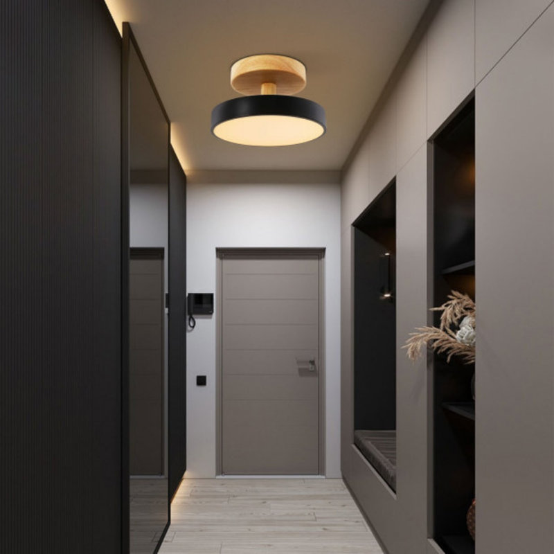 3 Colors Dimmable Modern Acrylic LED Ceiling Light, Dark Gray