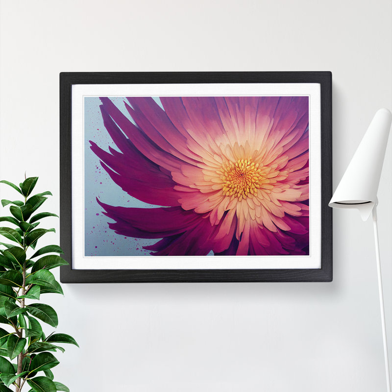 Splendorous Chrysanthemum Flower - Framed Print, Black, 46cm H x 64cm W x 2cm D