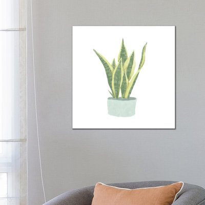 Snake Plant III by Bannarot - Wrapped Canvas Print