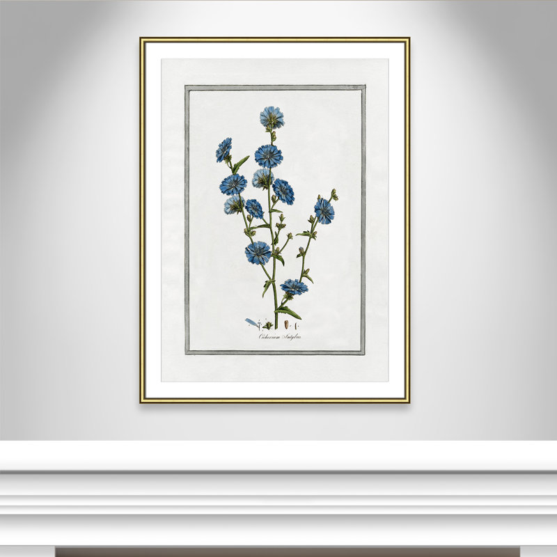 Colombe Soft Botanical I - Art encadré avec fond perdu, Cadre doré, L 30,75 po x H 42,75 po