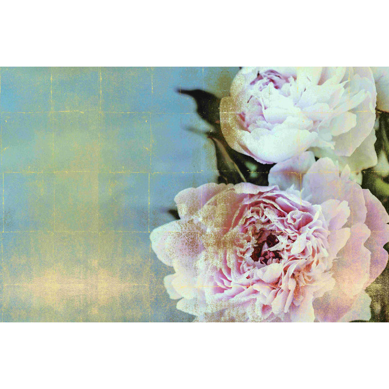 Pivoines - photographie sur toile tendue, H 8 po x l 12 po