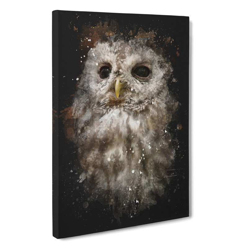 Tawny Owl Vol.1 - Wrapped Canvas, 76cm H x 50cm W x 3cm D