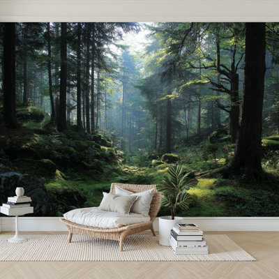 Peel and Stick Wallpaper H Modern Self Adhesive Wall Mural for Bedroom Sunshine Forest Landscape Tree Sunlight Greenery Mist