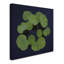 « géant lily pad abstract » par kurt shaffer, reproduction de photo sur toile tendue-13906449