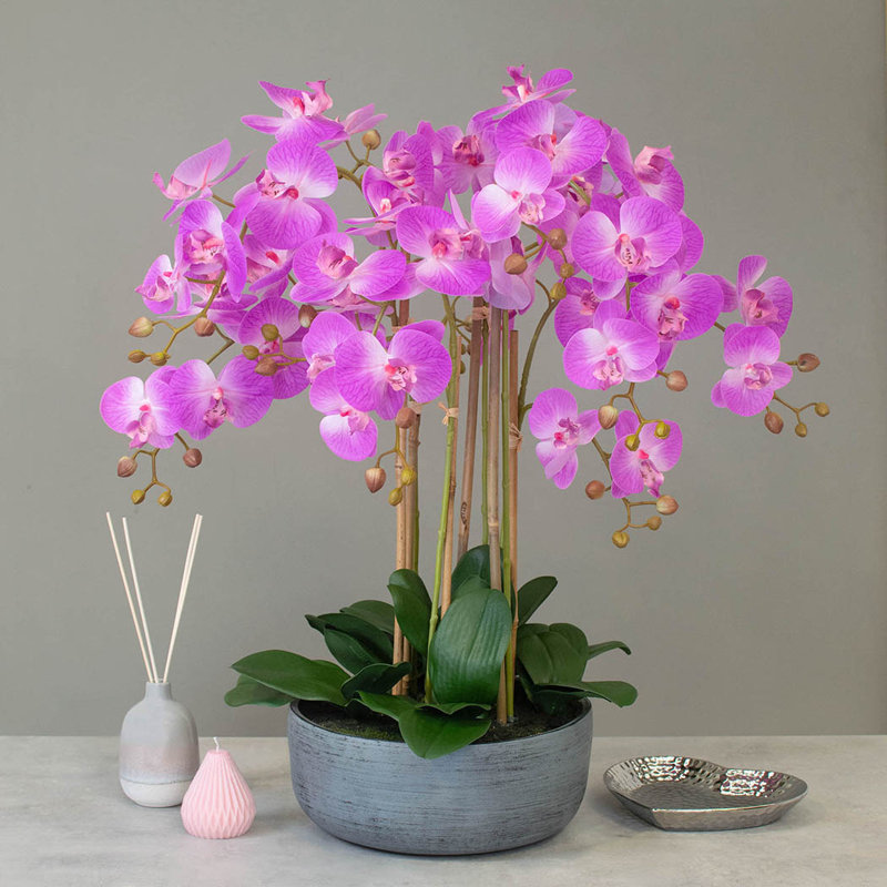 Polysilk Orchid Arrangement in Pot, 68cm H x 30cm W x 30cm D, Pink