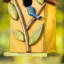 Strader 10 in x 4 in x 5 in Birdhouse-51899625