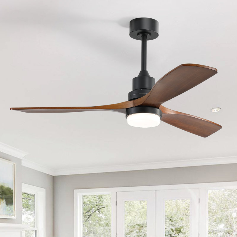 Ceiling Fan with LED Lights