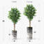 Arbre artificiel dans un pot de fleurs moderne, faux arbre en soie ficus (décoration en pot et arbre)