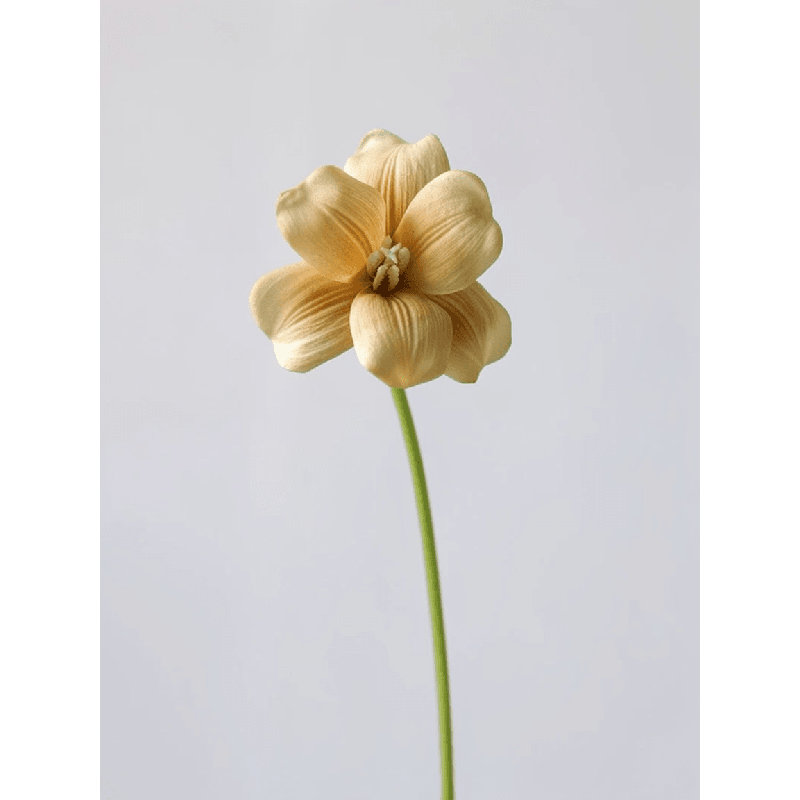 Tige de tulipe Heritage - 19,5 po, Ocre doré, [A] 1 tige