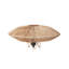 Anegla Iron Novelty Lamp