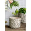 Jardinières S / 2 sable et ciment avec motif floral gravé, L: P 6,7 x 6,3 po: P 5,5 po x P 5 po