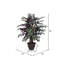 Arbre en pot artificiel Capensia-748766111