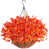 Light Orange is out of stock