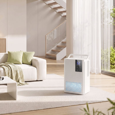 Dehumidifier