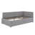 Grey est en rupture de stock