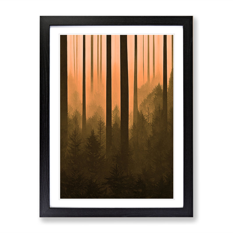 Autumnal Pine Tree Forest - Single Picture Frame Print, 64cm H x 46cm W x 2cm D, Black Framed