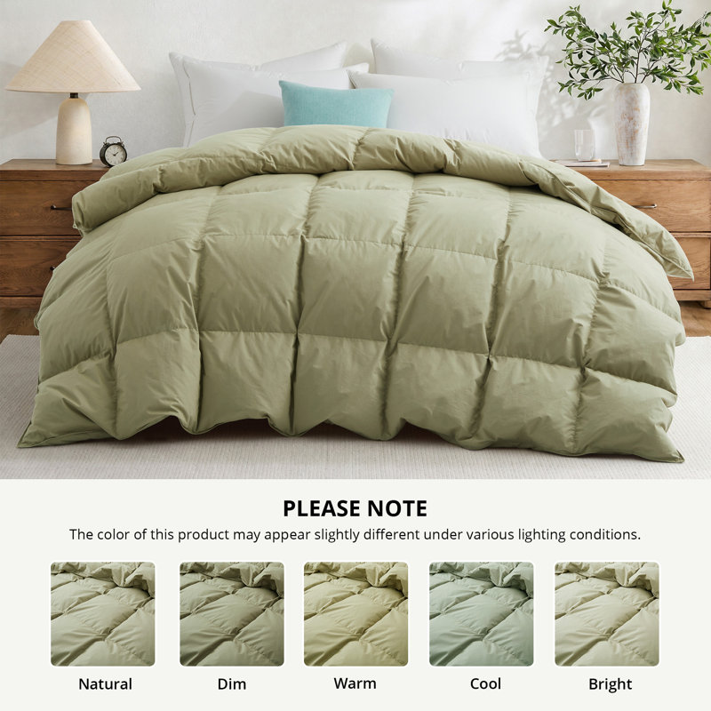 Insert de couette toutes saisons en duvet d'oie blanc avec housse de couette 100% coton 300TC, très grand californien