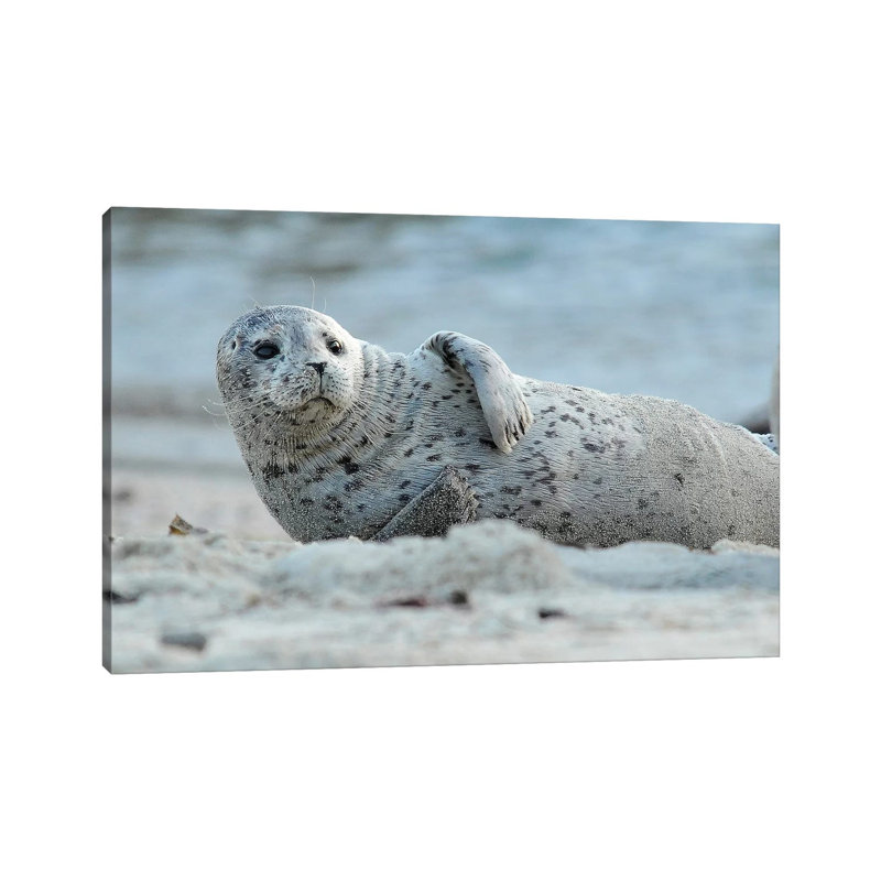 Lounging by Brian Wolf - Wrapped Canvas Print, 20.32cm H x 30.48cm W x 1.91cm D