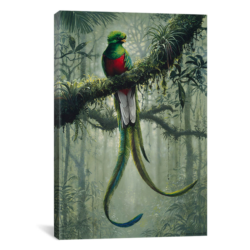 Resplendent quetzal 2 par impression sur toile Harro Maass, H 18 po x l 12 po x P 1,5 po, Toile tendue, Pas de tapis