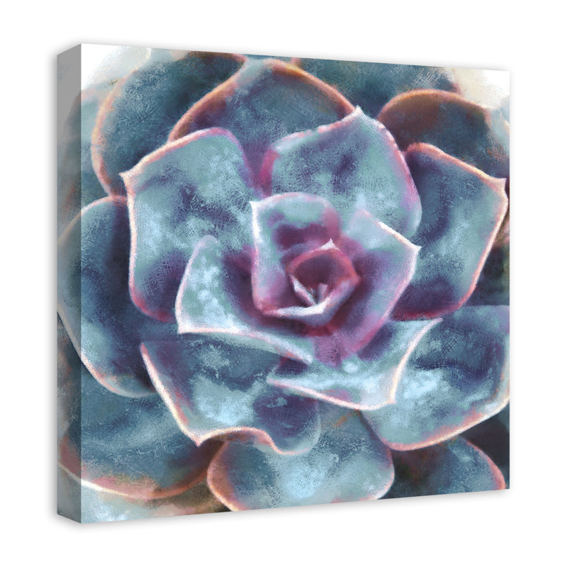 Succulent mauve et bleu sarcelle - sans cadre, H 20 po x l 20 po x P 1,25 po