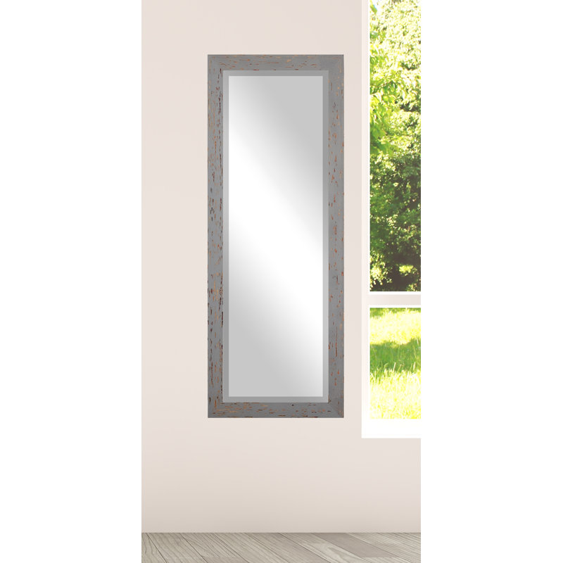 Miroir pleine grandeur Renegar, H 59 po x l 20 po, Gris/rouge