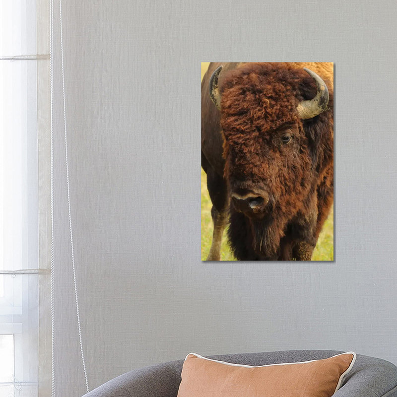 The Herd Bull 1 Piece Wrapped Canvas Wall Art, 66.04 cm H x 45.72 cm W x 1.91 cm D