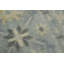 Tapis oriental géométrique Oushak 6 x 8