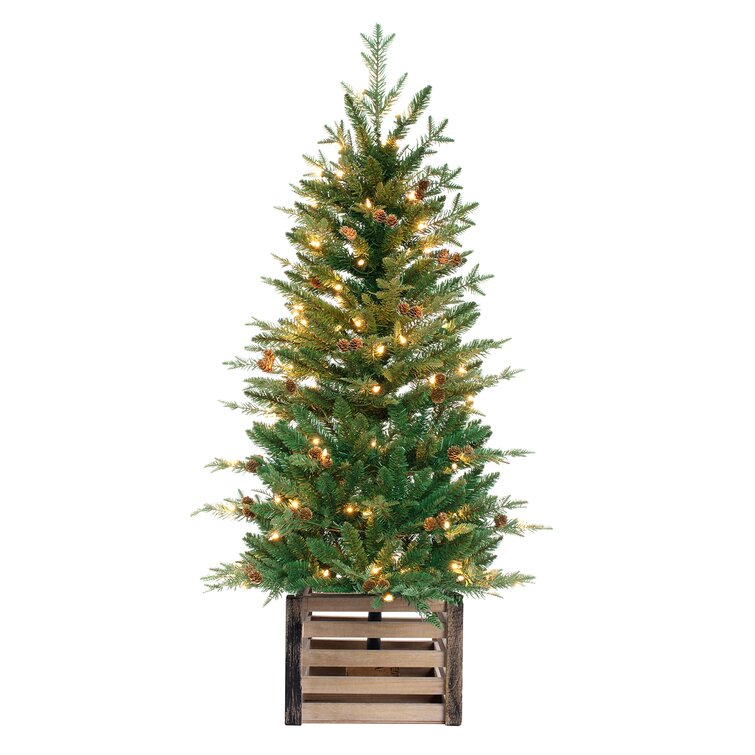 48' H Green Realistic Artificial Fir Christmas Tree with 100 Lights and Pinecones