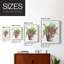 Winter Greens, reproduction encadrée - bois massif-974413792-974413797