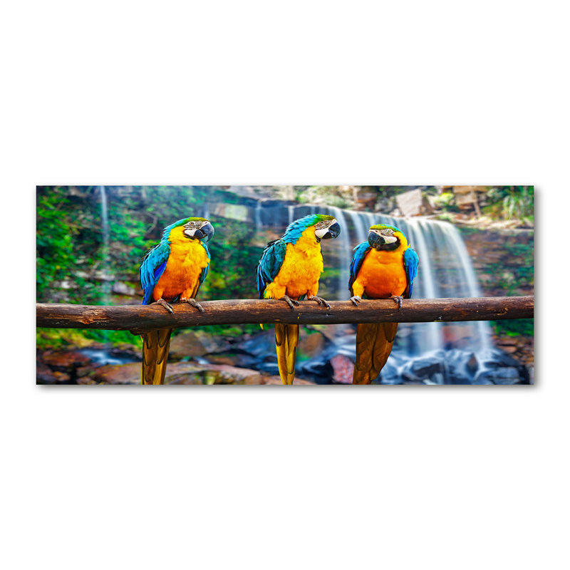 Parrots On The Branch - No Frame Print on Canvas